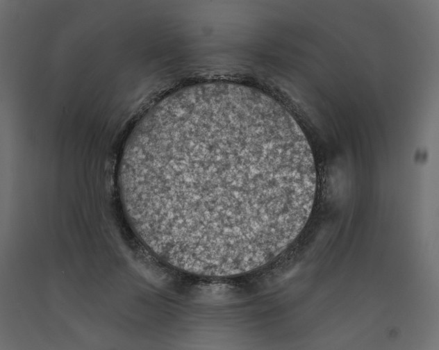 X0000092080695200710101040