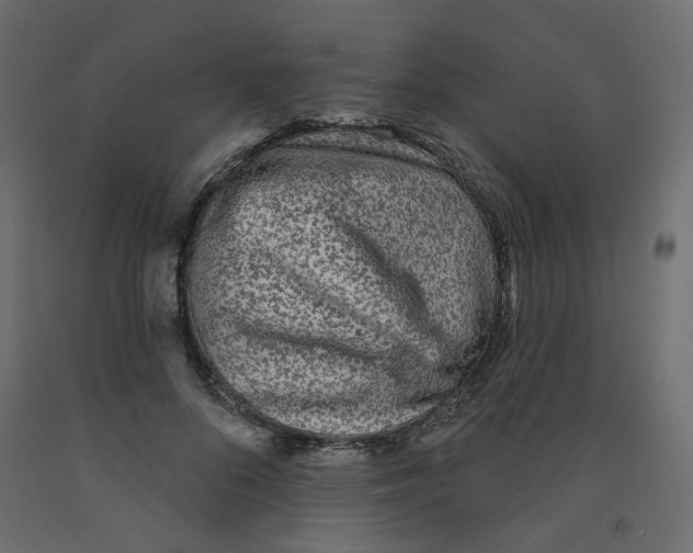 X0000092080696200710101040