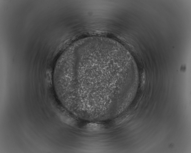 X0000092080699200710101040