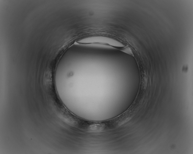 X0000092080700200710101040