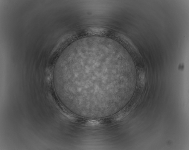 X0000092080701200710101040