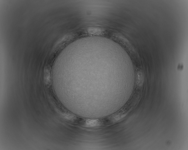 X0000092080705200710101040