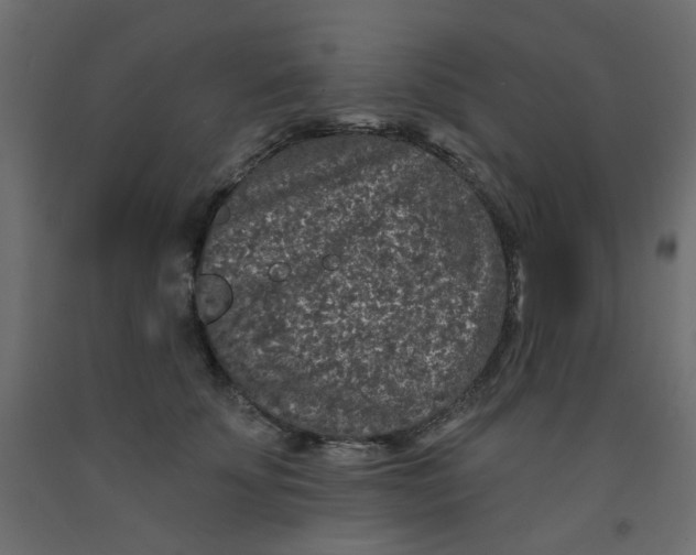 X0000092080707200710101040