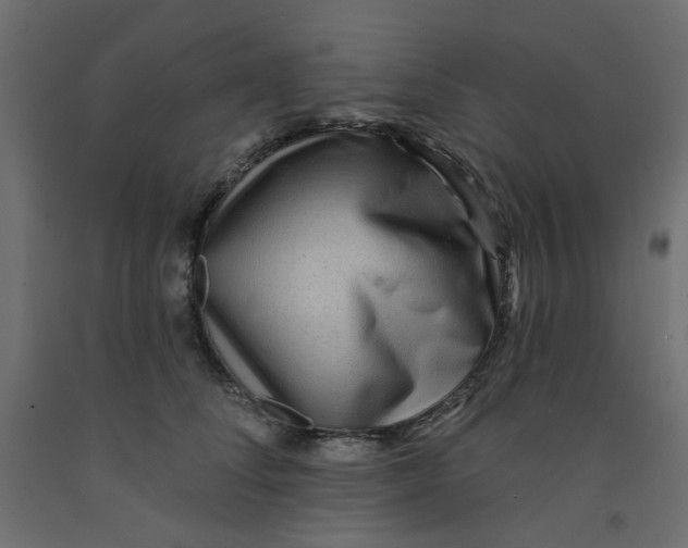 X0000092080708200710101040