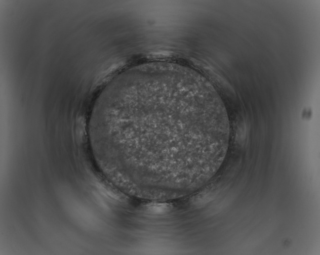 X0000092080711200710101040