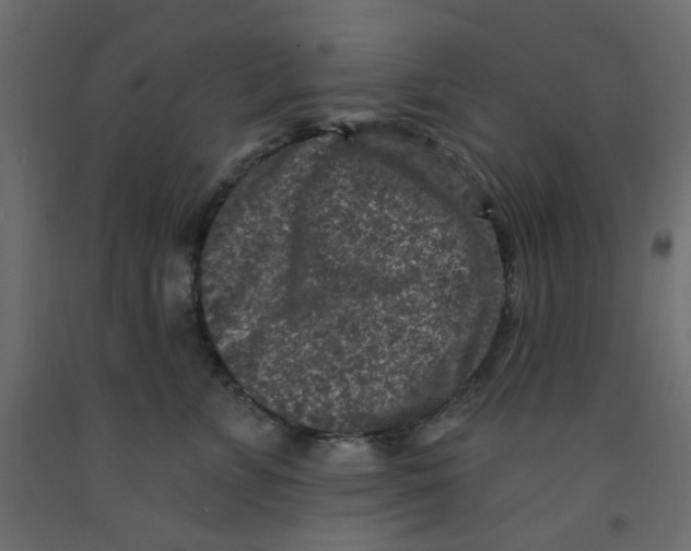 X0000092080715200710101040