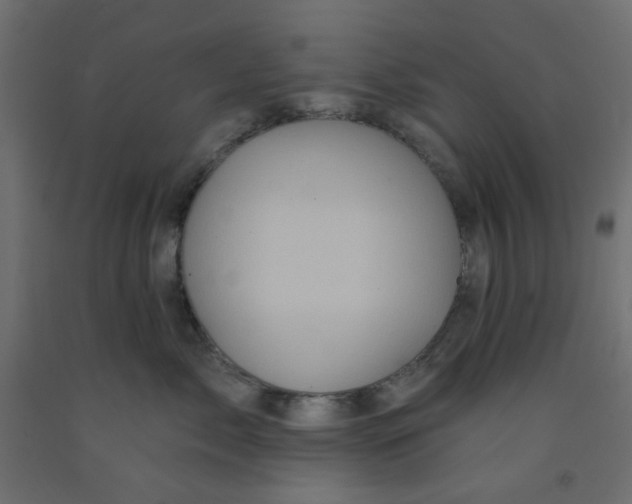 X0000092080717200710101040