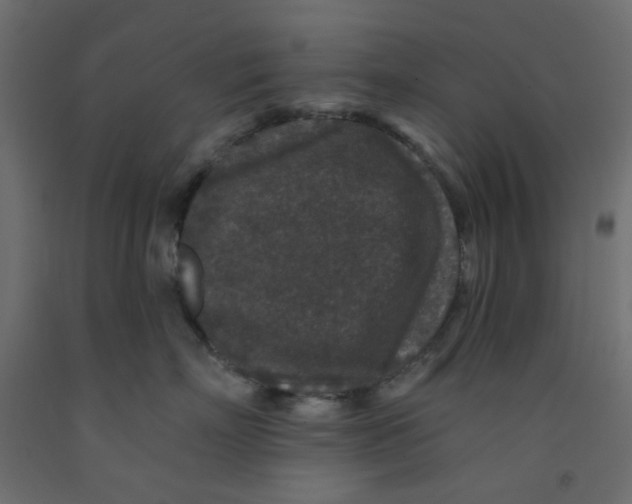 X0000092080718200710101040