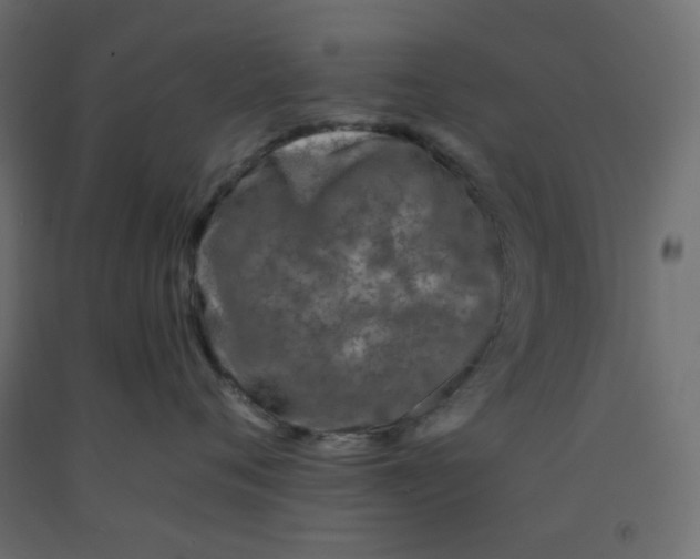 X0000092080720200710101040