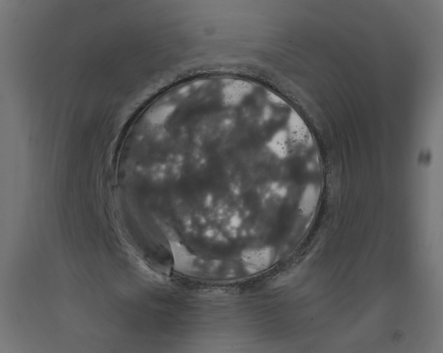 X0000092080721200710101039