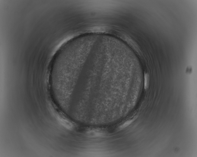 X0000092080723200710101040