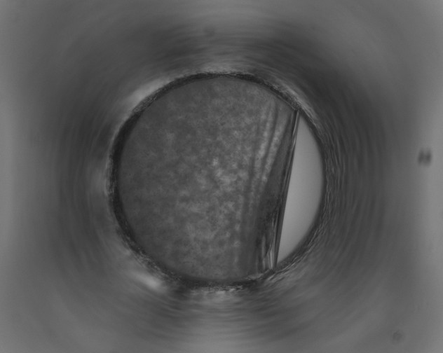 X0000092080724200710101040