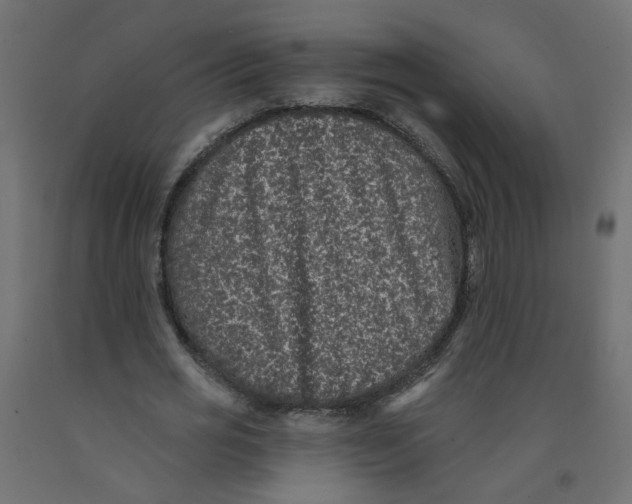 X0000092080725200710101040