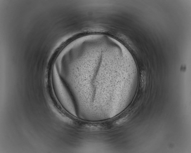 X0000092080726200710101040