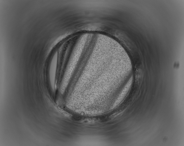 X0000092080727200710101040