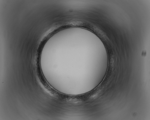 X0000092080730200710101040