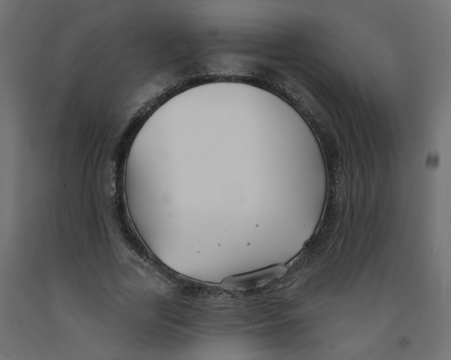 X0000092080731200710101040