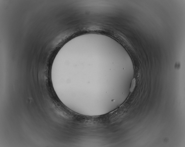 X0000092080732200710101040