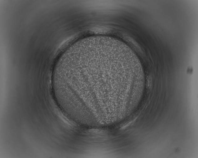 X0000092080733200710101040