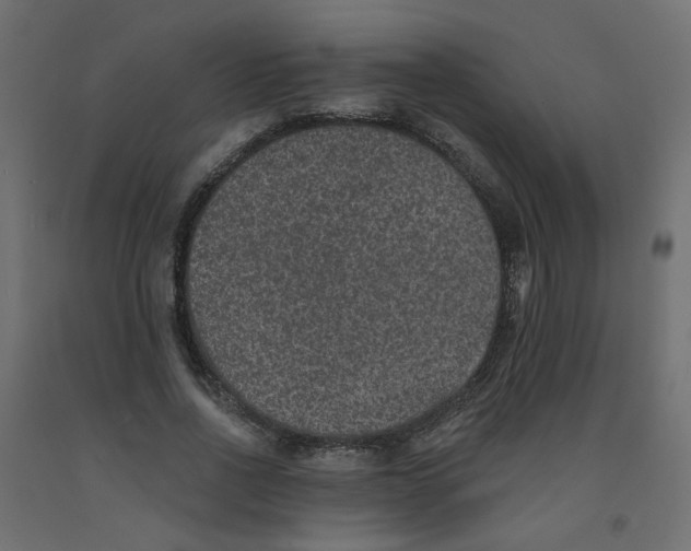 X0000092080734200710101040