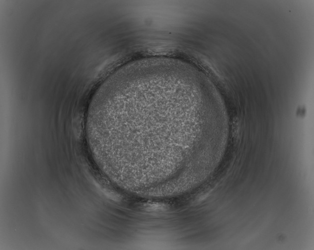 X0000092080741200710101040