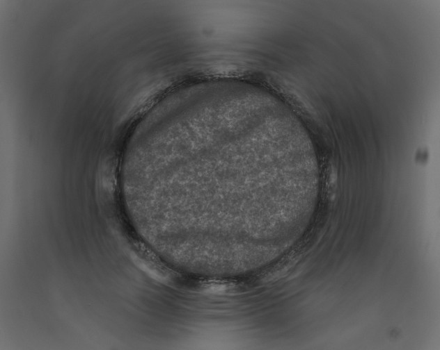 X0000092080746200710101040