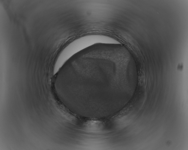 X0000092080748200710101040