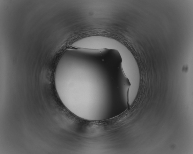 X0000092080750200710101040