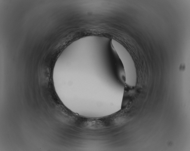 X0000092080752200710101040