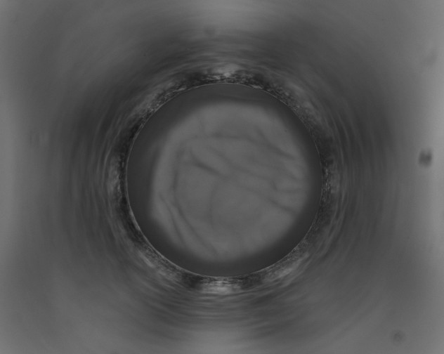 X0000092080754200710101040