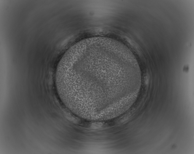 X0000092080757200710101040