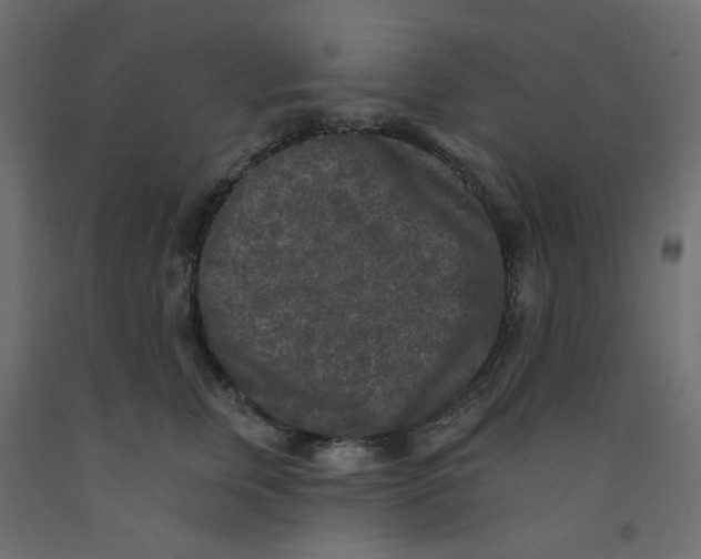 X0000092080759200710101040