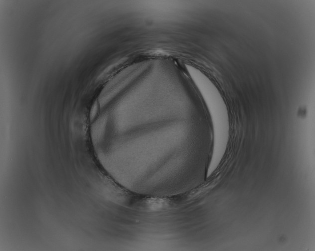 X0000092080762200710101040