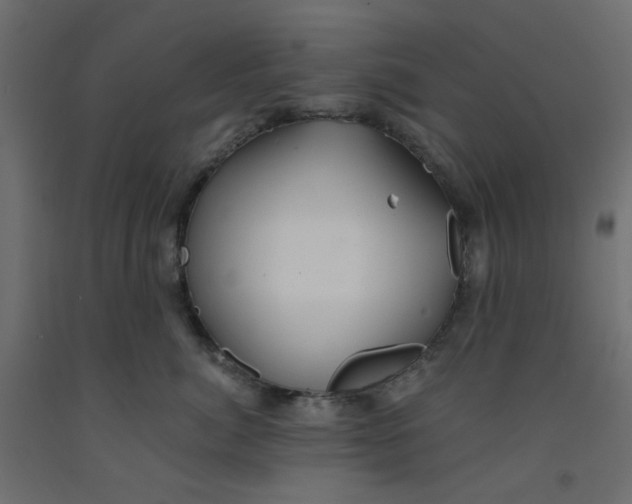 X0000092080764200710101040