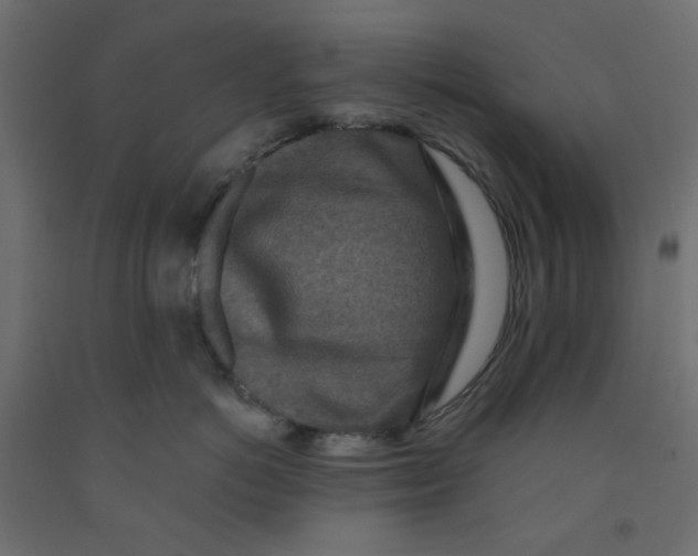 X0000092080766200710101040