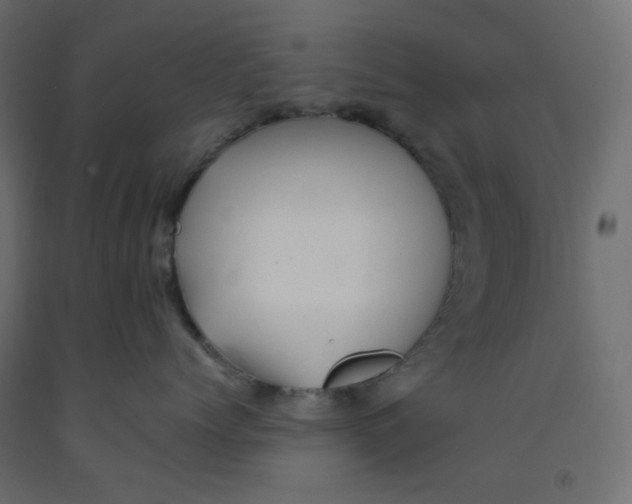 X0000092080768200710101040