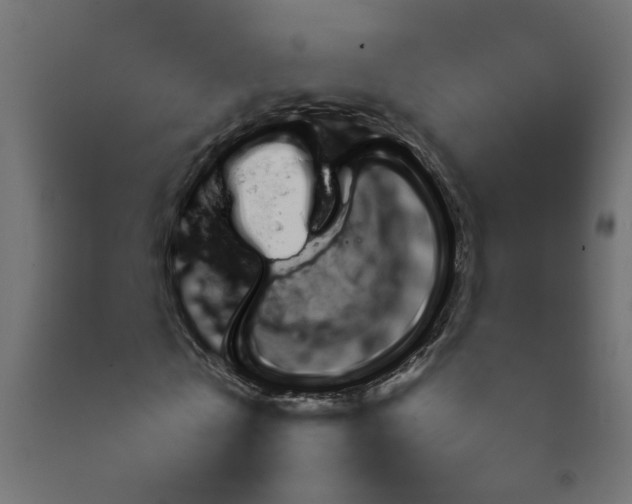 X0000092080769200710101039