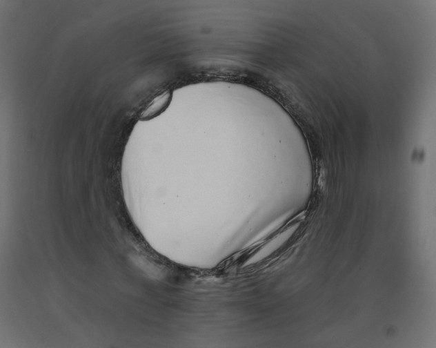 X0000092080771200710101039