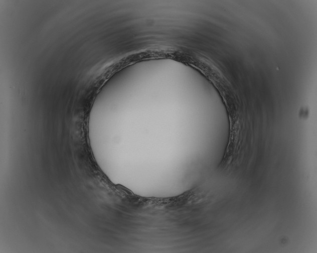 X0000092080773200710101039