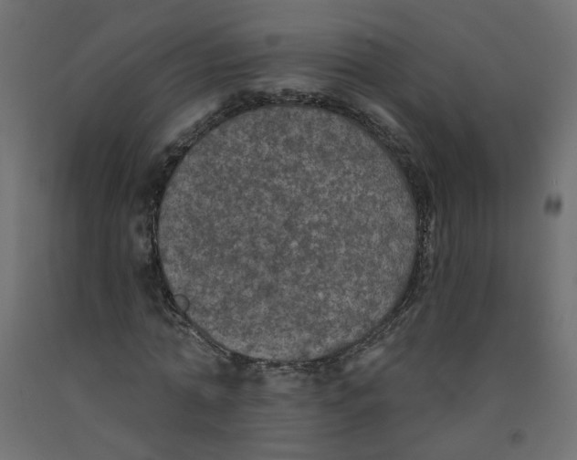 X0000092080774200710101039