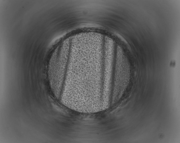 X0000092080775200710101039