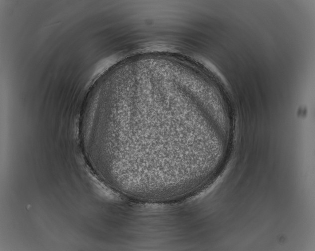 X0000092080777200710101039