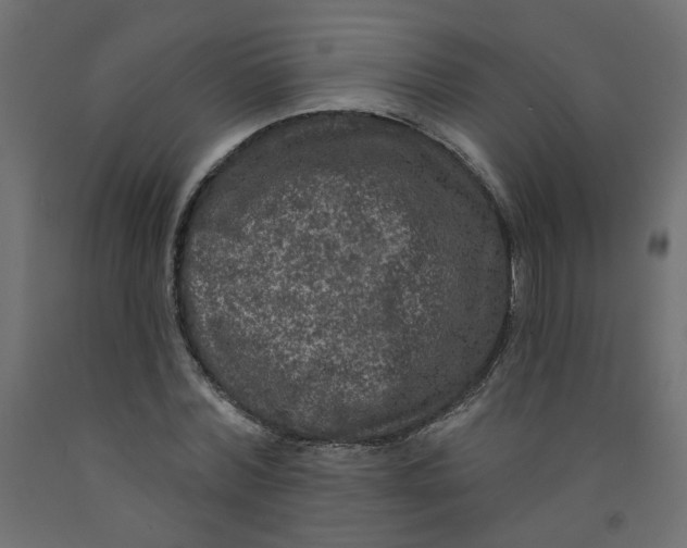 X0000092080780200710101039