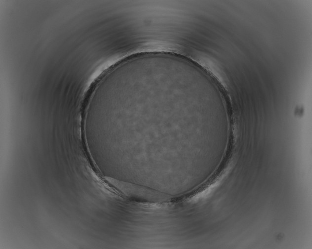 X0000092080781200710101039