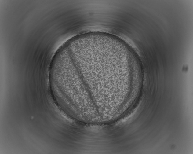 X0000092080782200710101039