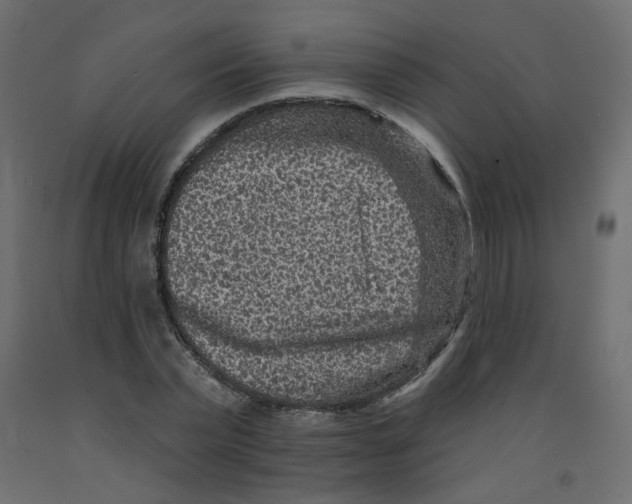 X0000092080783200710101039