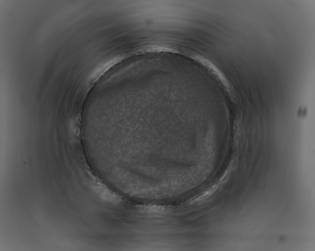 X0000092080785200710101039