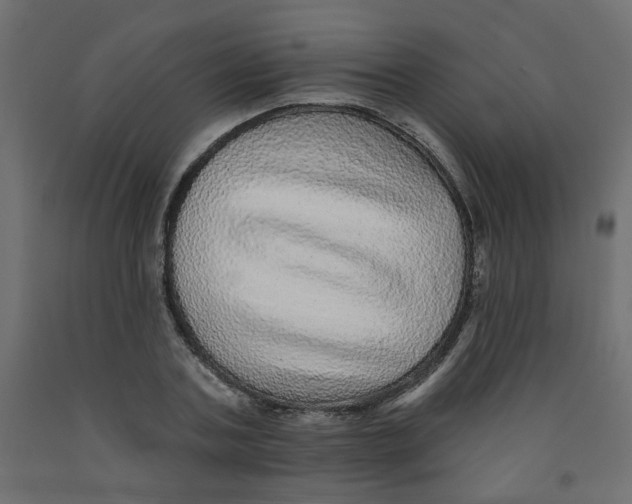 X0000092080787200710101039