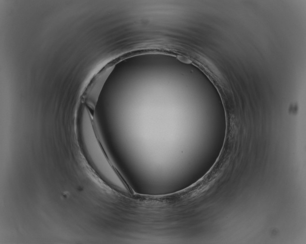 X0000092080788200710101039