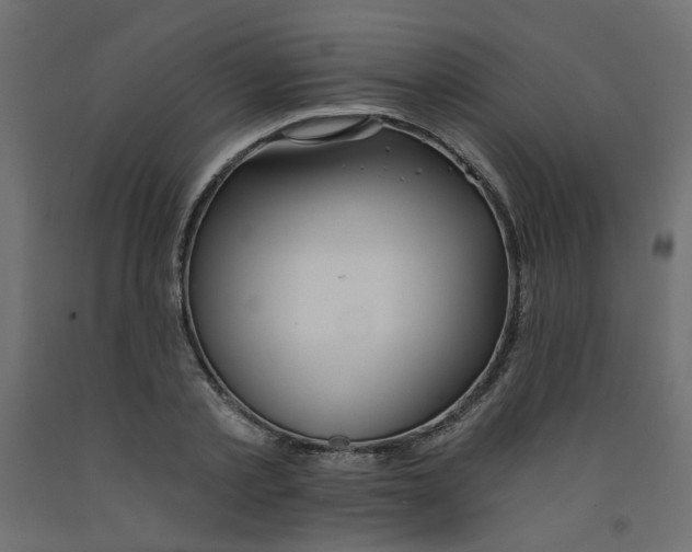 X0000092080789200710101039